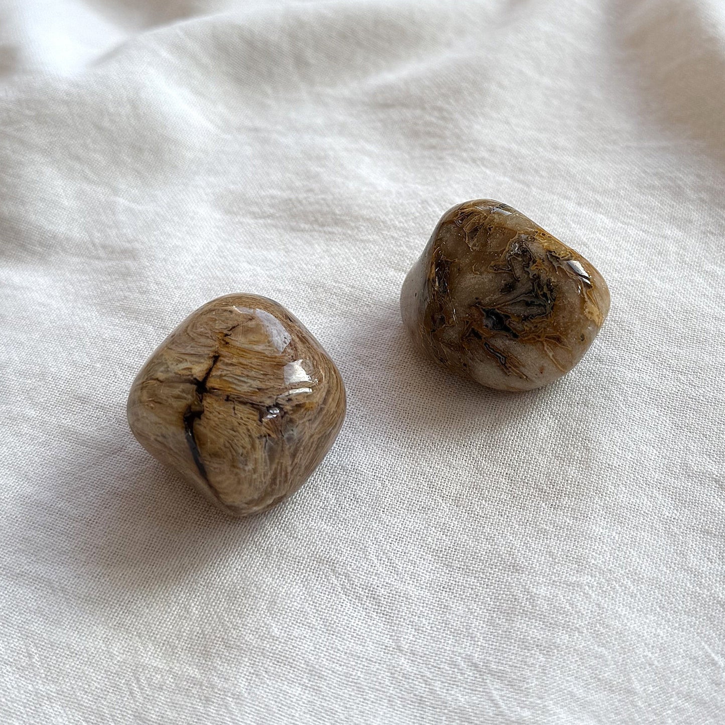 VERSTEINERTES HOLZ Trommelstein