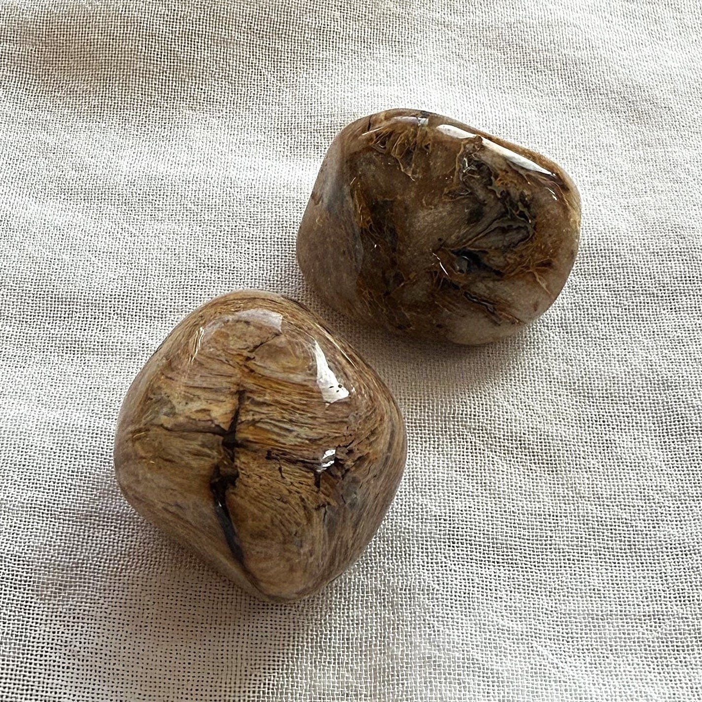 VERSTEINERTES HOLZ Trommelstein