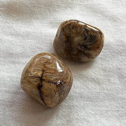 VERSTEINERTES HOLZ Trommelstein