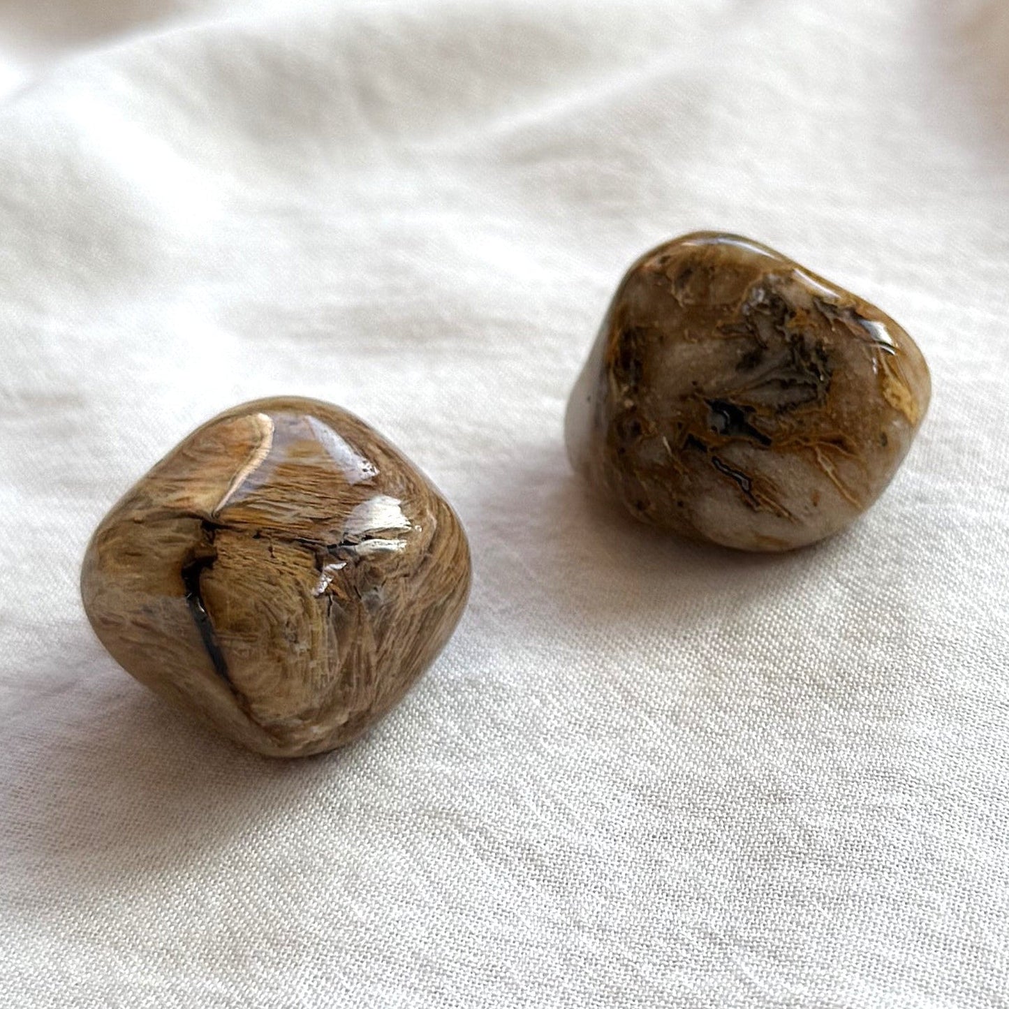 VERSTEINERTES HOLZ Trommelstein