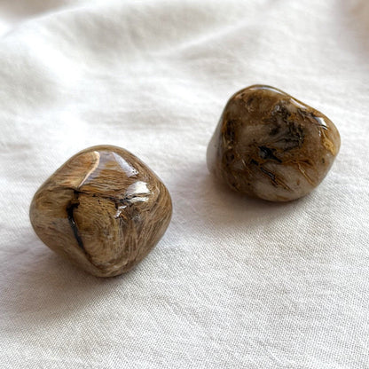 VERSTEINERTES HOLZ Trommelstein