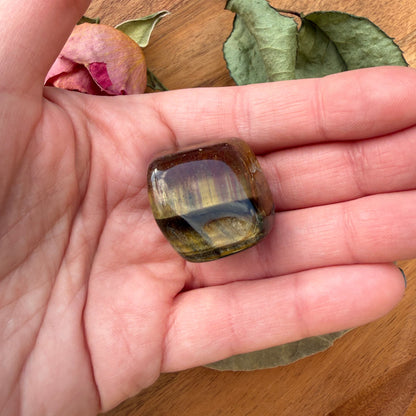 Manifestations-Set - Fokus, Neuanfänge, Ziele