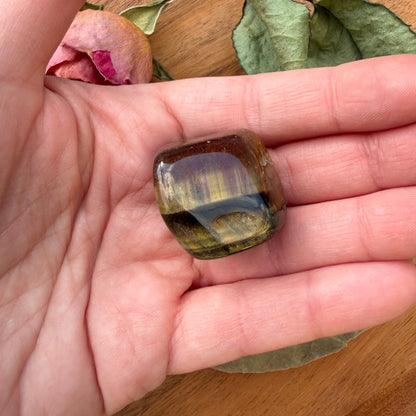 TIGERAUGE Trommelstein