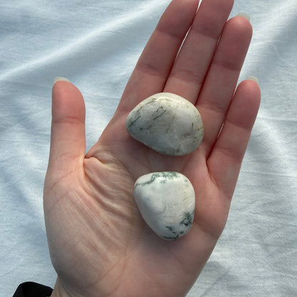 BAUMACHAT Trommelstein